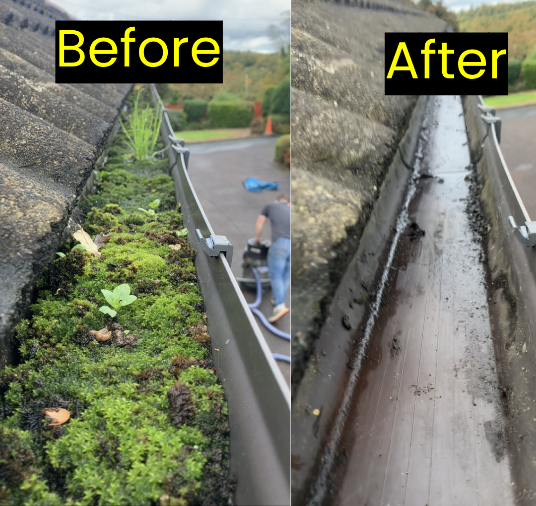Gutter cleaning service in Carlow